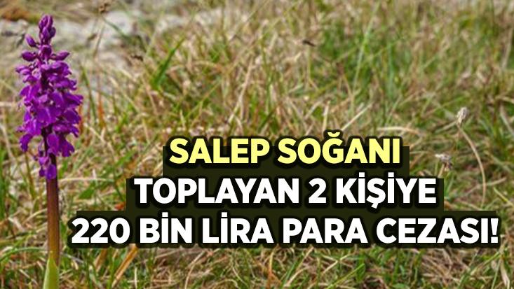 Salep Soğanı Toplayan 2 Kişiye 220 Bin Lira Para Cezası