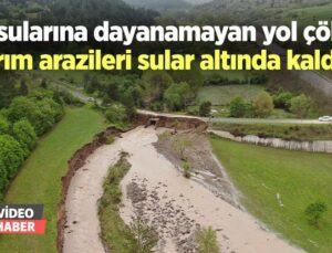 Sel Sularına Dayanamayan Yol Çöktü, Tarım Arazileri Sular Altında Kaldı…