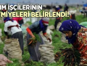 Tarım Işçilerinin Yevmiyeleri 330 Tl Olarak Belirlendi  