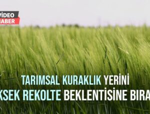 Tarımsal Kuraklık Yerini Yüksek Rekolte Beklentisine Bıraktı