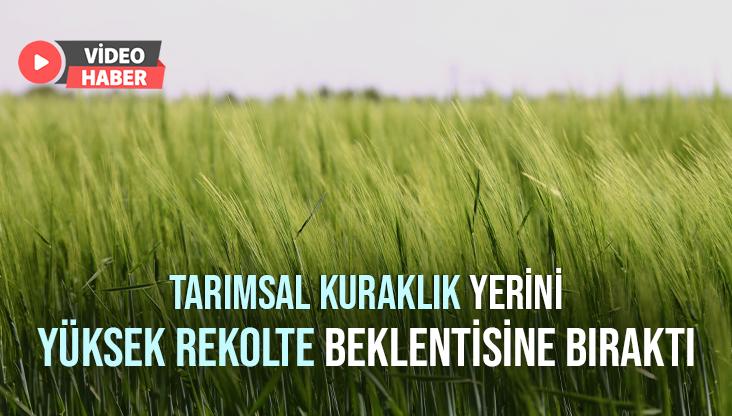 Tarımsal Kuraklık Yerini Yüksek Rekolte Beklentisine Bıraktı