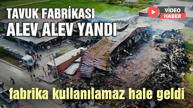 Tavuk Fabrikası Alev Alev Yandı