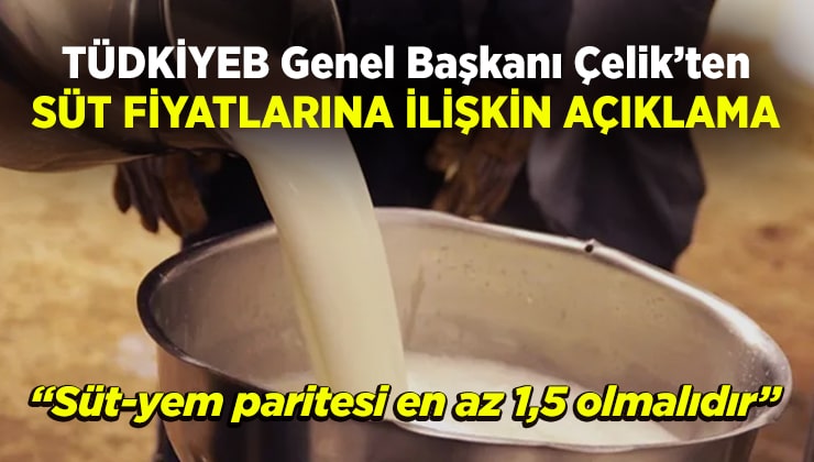 TÜDKİYEB Genel Başkanı Çelik: “Süt-yem paritesi en az 1.5 olmalıdır”