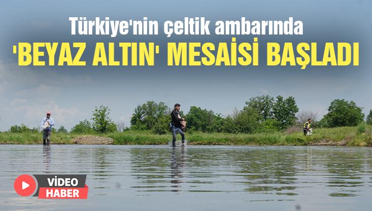 Türkiye’Nin Çeltik Ambarında ‘Beyaz Altın’ Mesaisi Başladı