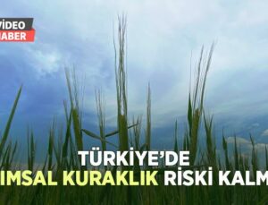 Türkiye’de Tarımsal Kuraklık Riski Kalmadı