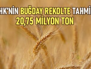 Uhk’nin Buğday Rekolte Tahmini 20,75 Milyon Ton