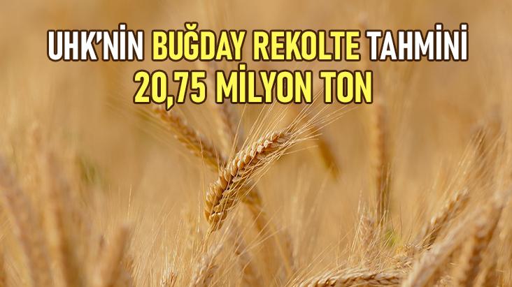 Uhk’nin Buğday Rekolte Tahmini 20,75 Milyon Ton
