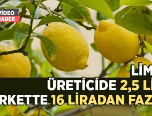 Üreticide 2,5 Lira Olan Limon Markette 16 Liradan Fazlaya Satılıyor