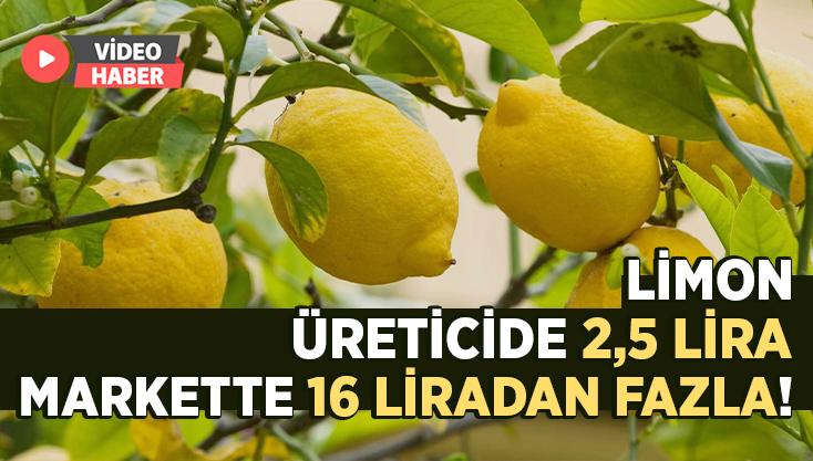 Üreticide 2,5 Lira Olan Limon Markette 16 Liradan Fazlaya Satılıyor