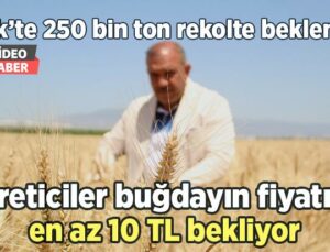 Üreticiler Buğdayın Fiyatını En Az 10 Tl Bekliyor