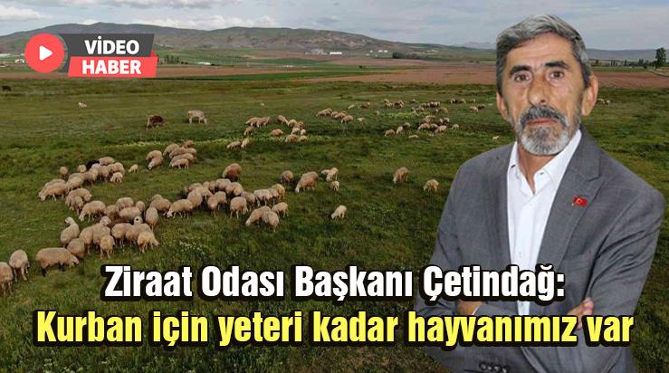 Ziraat Odası Başkanı Çetindağ: Kurban Için Yeteri Kadar Hayvanımız Var