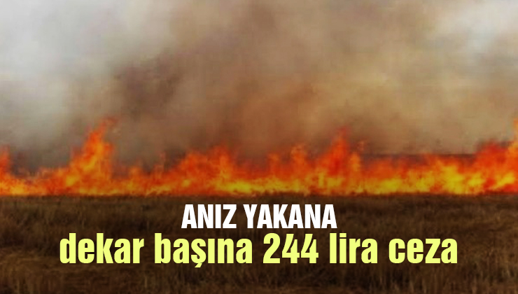 Anız Yakana Dekar Başına 244 Lira Ceza