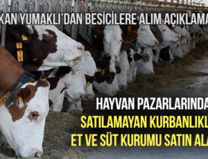 Hayvan Pazarlarında Satılamayan Kurbanlıkları Et Ve Süt Kurumu Satın Alacak