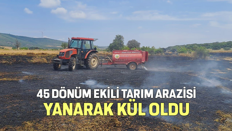 45 Dönüm Ekili Tarım Arazisi Yanarak Kül Oldu