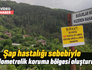 Şap Hastalığı Sebebiyle 3 Kilometrelik Koruma Bölgesi Oluşturuldu