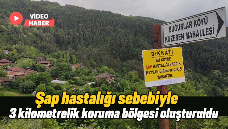 Şap Hastalığı Sebebiyle 3 Kilometrelik Koruma Bölgesi Oluşturuldu