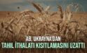 AB, Ukrayna’dan tahıl ithalatı kısıtlamasını uzattı