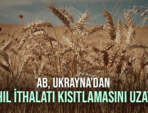 Ab, Ukrayna’dan Tahıl Ithalatı Kısıtlamasını Uzattı