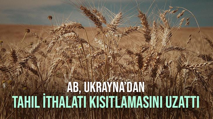 Ab, Ukrayna’dan Tahıl Ithalatı Kısıtlamasını Uzattı