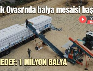 Amik Ovası’Nda Balya Mesaisi Başladı: Hedef 1 Milyon Balya