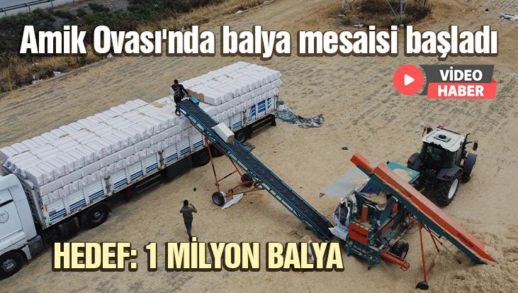 Amik Ovası’Nda Balya Mesaisi Başladı: Hedef 1 Milyon Balya