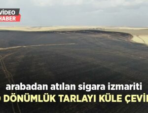 Arabadan Atılan Sigara Izmariti 700 Dönümlük Tarlayı Küle Çevirdi!