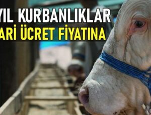 Bu Yıl Kurbanlıklar Asgari Ücret Fiyatına