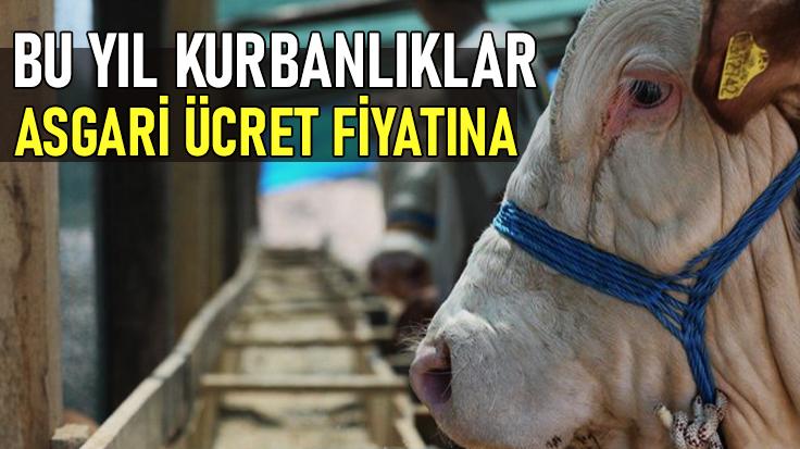 Bu Yıl Kurbanlıklar Asgari Ücret Fiyatına