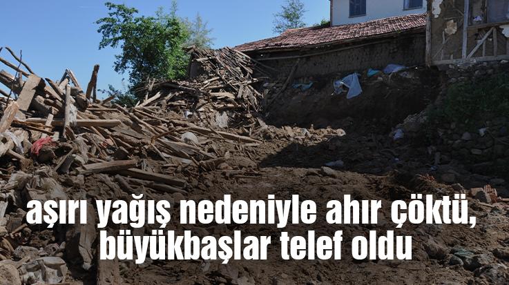 Aşırı Yağış Nedeniyle Ahır Çöktü, Büyükbaşlar Telef Oldu