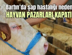Bartın’da Şap Hastalığı Nedeniyle Hayvan Pazarları Kapatıldı