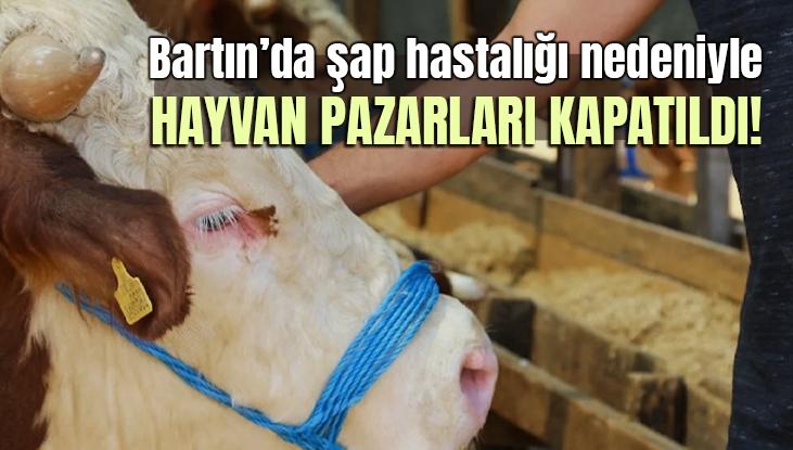 Bartın’da Şap Hastalığı Nedeniyle Hayvan Pazarları Kapatıldı