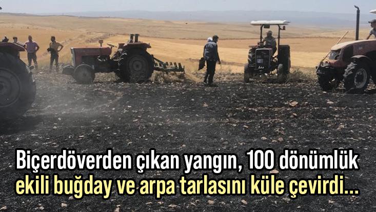 Biçerdöverden Çıkan Yangın, 100 Dönümlük Ekili Buğday Ve Arpa Tarlasını Küle Çevirdi