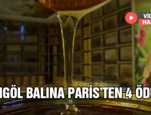 Bingöl Balına Paris’ten 4 Ödül