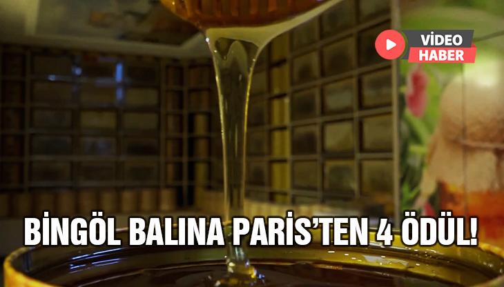 Bingöl Balına Paris’ten 4 Ödül