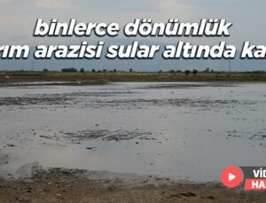 Binlerce Dönümlük Tarım Arazisi Sular Altında Kaldı