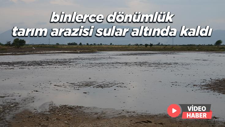 Binlerce Dönümlük Tarım Arazisi Sular Altında Kaldı