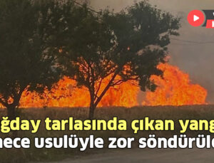 Buğday Tarlasında Çıkan Yangın Imece Usulüyle Zor Söndürüldü