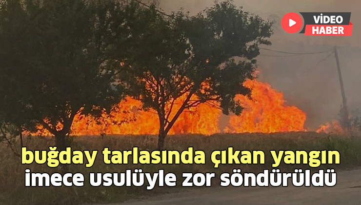 Buğday Tarlasında Çıkan Yangın Imece Usulüyle Zor Söndürüldü