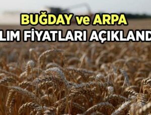 Buğday Ve Arpa Alım Fiyatları Açıklandı!