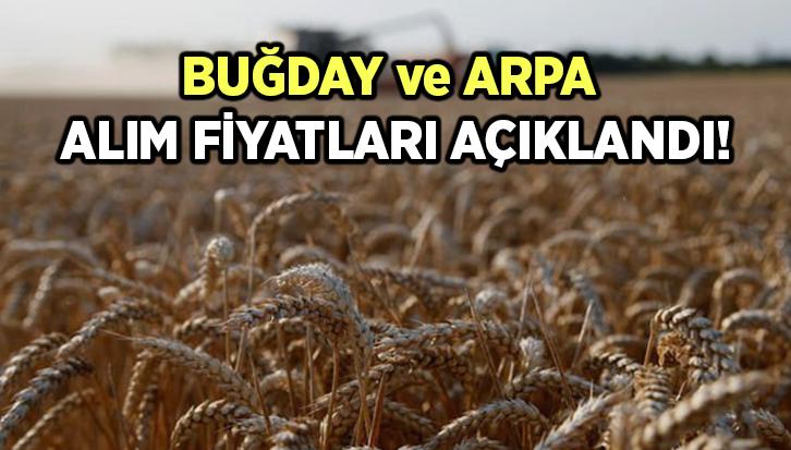 Buğday Ve Arpa Alım Fiyatları Açıklandı!