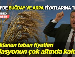 Buğday Ve Arpa Fiyatlarına Tepki: Taban Fiyatları Enflasyonun Altında Kaldı