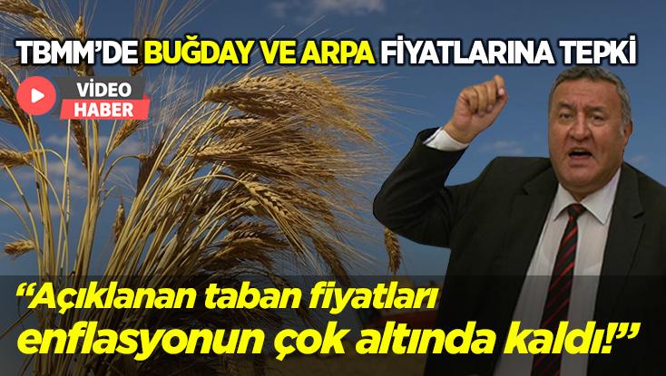 Buğday Ve Arpa Fiyatlarına Tepki: Taban Fiyatları Enflasyonun Altında Kaldı