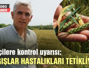 Çiftçilere Kontrol Uyarısı: Yağışlar Hastalıkları Tetikliyor