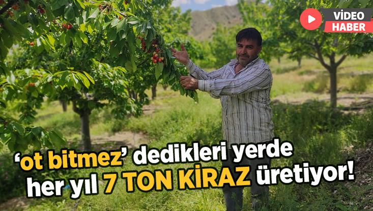 ‘Ot Bitmez’ Dedikleri Yerde Her Yıl 7 Ton Kiraz Üretiyor!