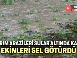 Ekinleri Sel Götürdü, Tarım Arazileri Sular Altında Kaldı