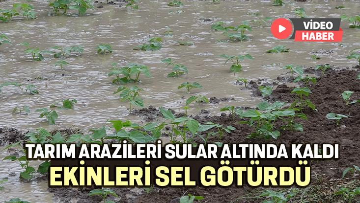 Ekinleri Sel Götürdü, Tarım Arazileri Sular Altında Kaldı