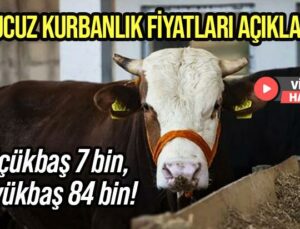 En Ucuz Kurbanlık Fiyatlarını Açıklandı: Küçükbaş 7 Bin, Büyükbaş 84 Bin!