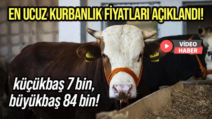 En Ucuz Kurbanlık Fiyatlarını Açıklandı: Küçükbaş 7 Bin, Büyükbaş 84 Bin!