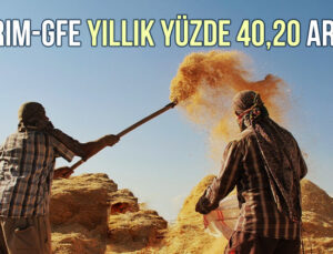 Tarım-Gfe Yıllık Yüzde 40,20 Arttı