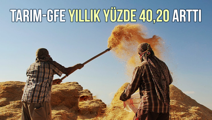 Tarım-Gfe Yıllık Yüzde 40,20 Arttı